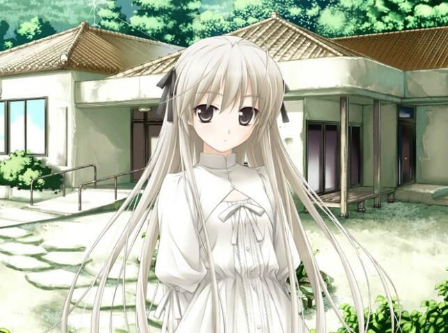 ���۵Ķ�����������Щ �ձ��˵���������ǰʮ��