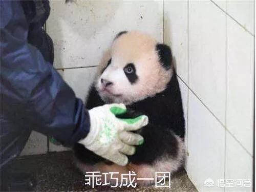 ����Ԫ������ʧ�˵�ԭ�� 2023�����Ԫ��״�Ƿ񻹻����˼�