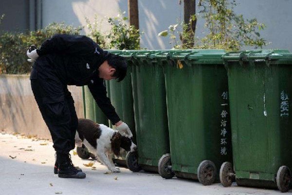 �����ϴ����־�����? �ϴ�С����ֲ����˭