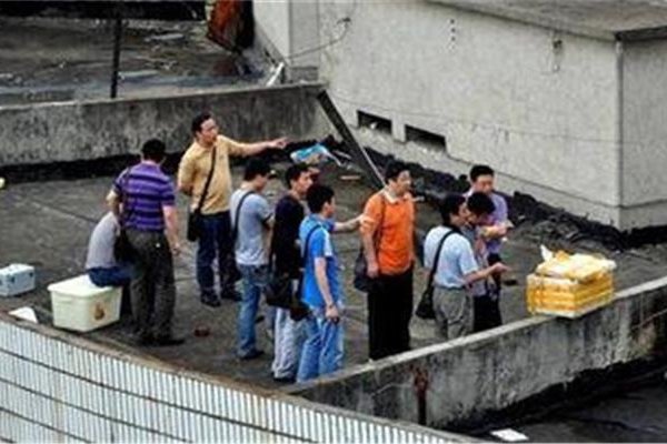 �����ϴ����־�����? �ϴ�С����ֲ����˭