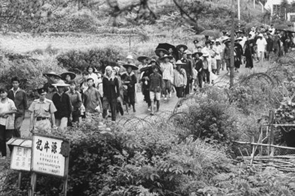 三年自然灾害饿死了多少人 三年自然灾害是哪三年