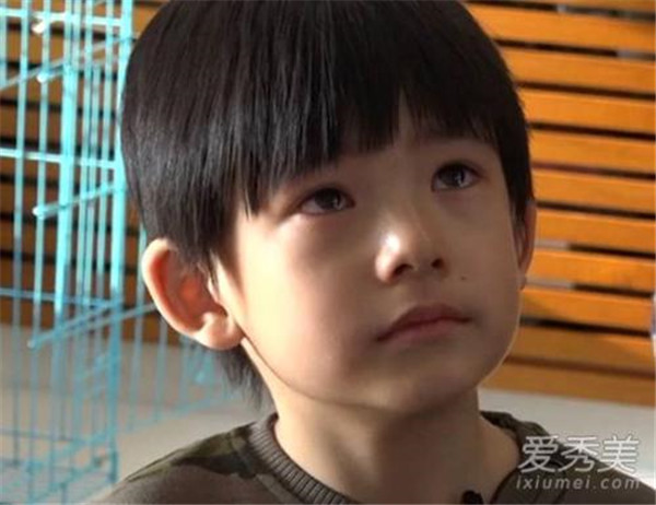 董洁和梁朝伟有什么关系 董洁为梁朝伟产子天涯