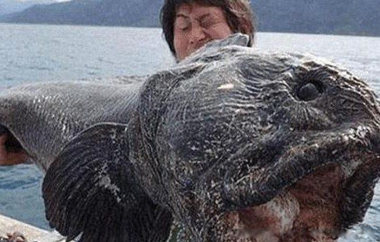 �ձ��˷����������ʵ��Ƭ 2011���ձ��˷����¼������СŮ��