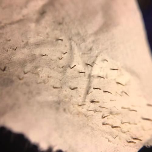 ֥��Ů��ͼƬ�ֲ� ���˺����˻�����Ƥ����