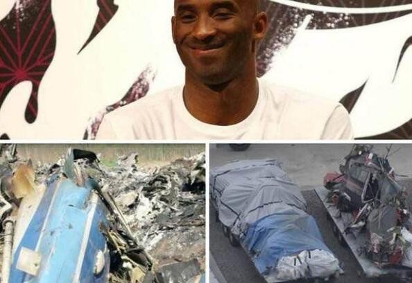 �Ʊȱ��ճ�1��53���� ׹�������Ź�1��98���߱��ճ�1��53