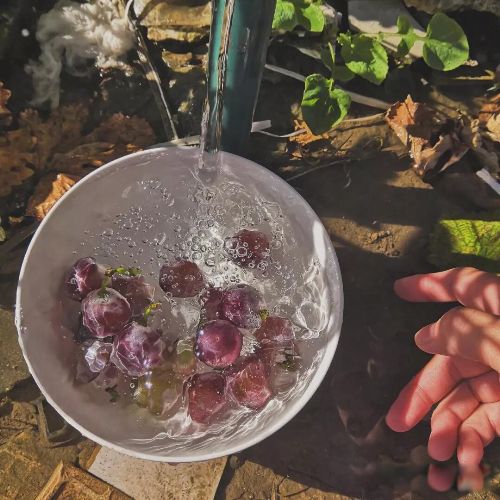 ����Ԥ��:2023������ĩ���������? 2023������������������