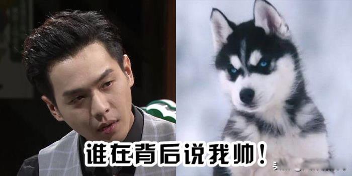 �����������Ժվ������� ��������̫���˷����������ĺ�Ժ