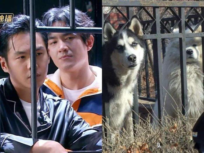 �����������Ժվ������� ��������̫���˷����������ĺ�Ժ