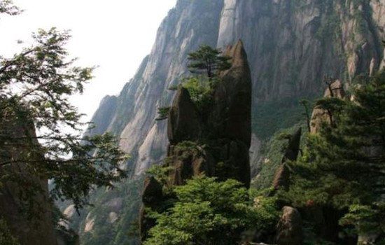 Сѧ����������ֲ�һҳ����Щ �廭���͹��Ȳ²����