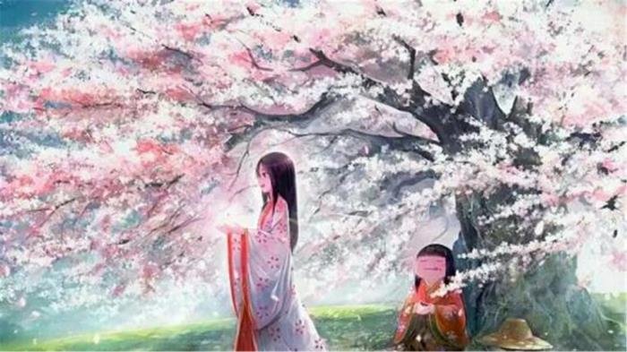 �屾�������ǳ����ܲ��� �����ʺõİԵ��ܲ��Ƽ�