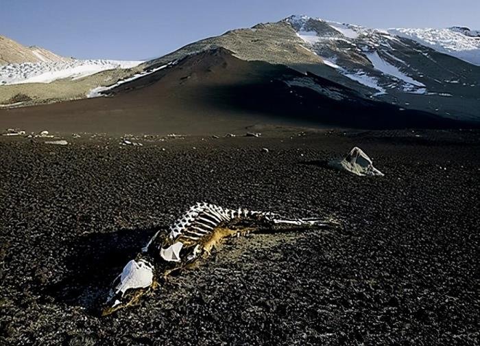 �й�ʮ����ؽ���������� ������10��������참��