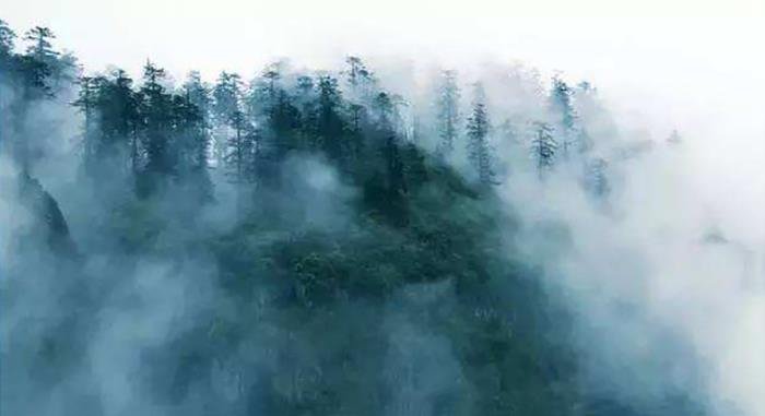 �й�ʮ����ؽ���������� ������10��������참��