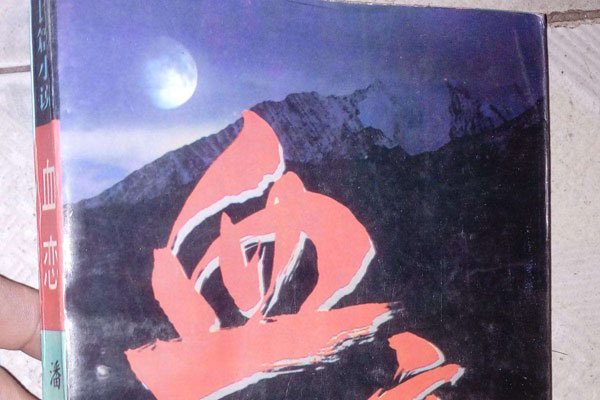 血恋结局怎么这么恶心 打真军电影血恋的故事梗概