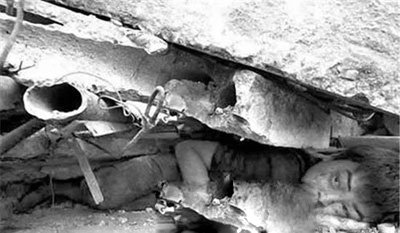 �봨����ֲ���ʵͼƬ �봨���������¼���ʵ����(����й¶���)