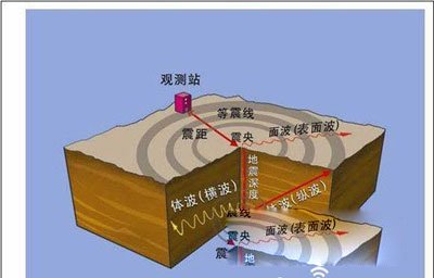 �봨����ֲ���ʵͼƬ �봨���������¼���ʵ����(����й¶���)