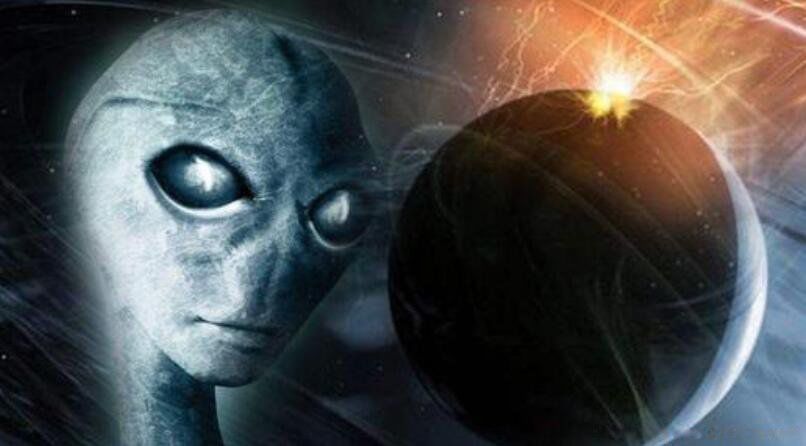 ��ѧ�Ҳ��ҹ����Ŀֲ����� �����ֲ�������������