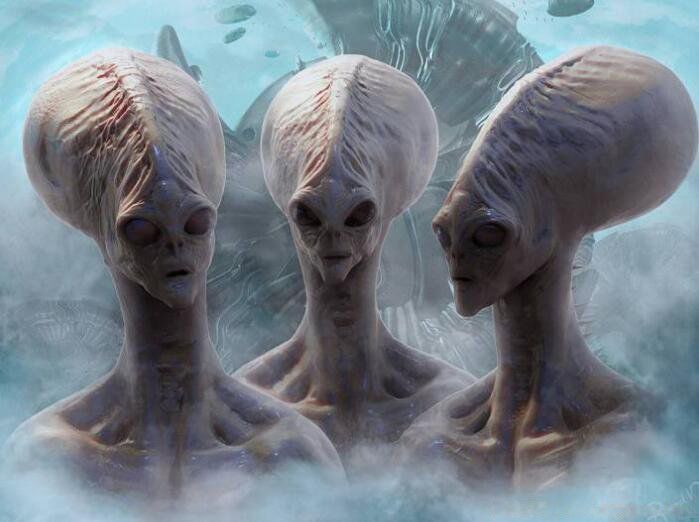 ��ѧ�Ҳ��ҹ����Ŀֲ����� �����ֲ�������������