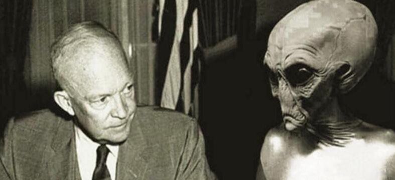 ��ѧ�Ҳ��ҹ����Ŀֲ����� �����ֲ�������������