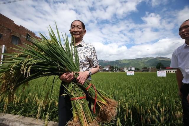 Ԭ¡ƽ���¼����� ʵ������֪��Ԭ¡ƽ�����¼��;���