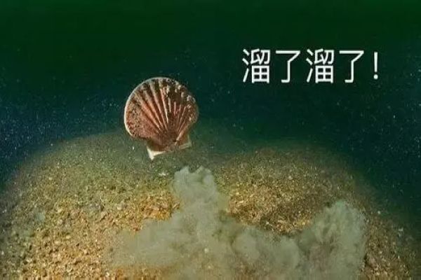 ��ӵ��ȱ������¼� �ȱ���·���յ��ش�����,��ȫ��