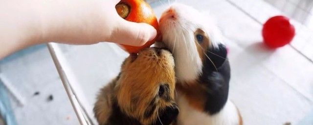 ������˭��˭��ڵ�ԭ�� Ƣ��������ζ��