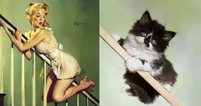 ������è��Ϊ����è���� Ϊʲô˵������èΪ����