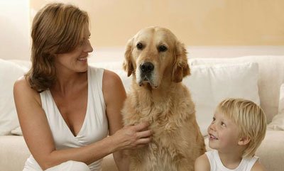 ������è��Ϊ����è���� Ϊʲô˵������èΪ����