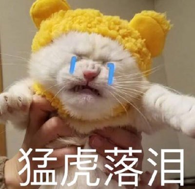 ������è��Ϊ����è���� Ϊʲô˵������èΪ����