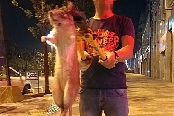 �й���������ͼƬ ������������150��(��è��Ҫ��)