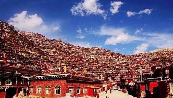 色达天藏分女尸全过程图片 色达葬天仪式尸解喂食鹰鹫