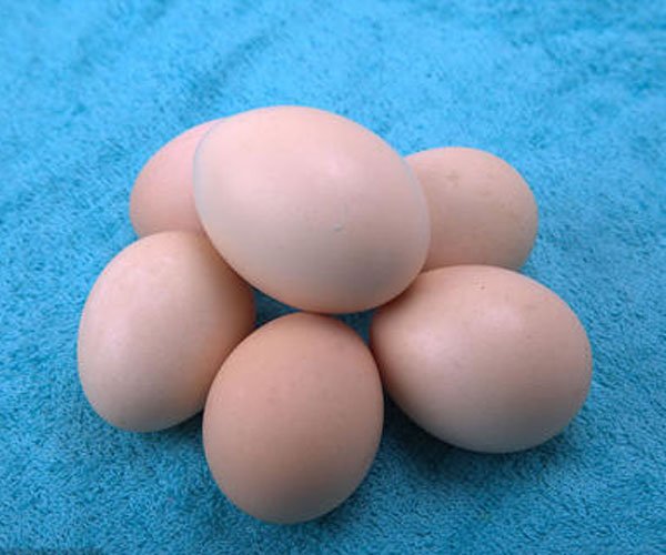 AV���ž���GIF���� ���µķ��ž���gif��̬ͼ�ѵ�ͼ��