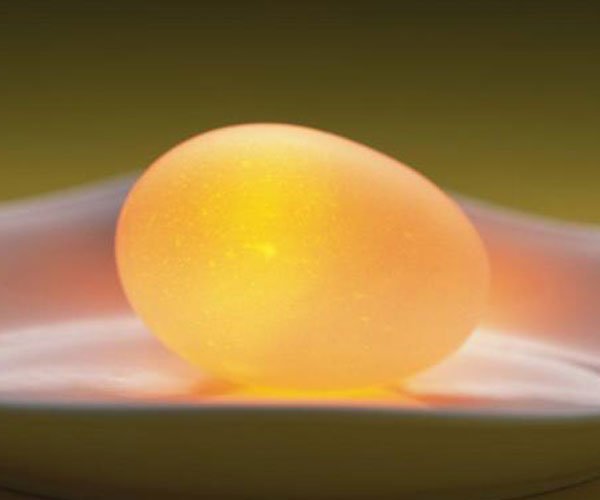 AV番号剧情GIF出处 最新的番号剧情gif动态图卵蛋图解