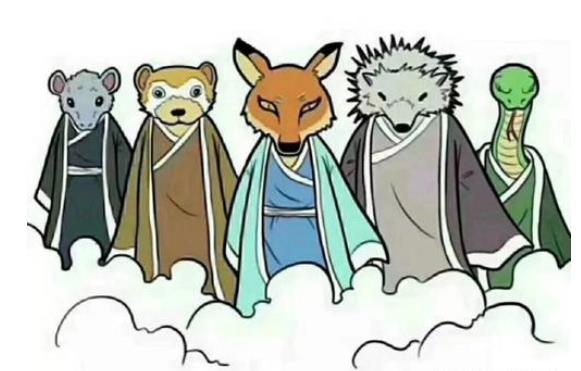 �ɼҴ���ʲô�о���֢״ �ɼҴ���һ��೤ʱ��