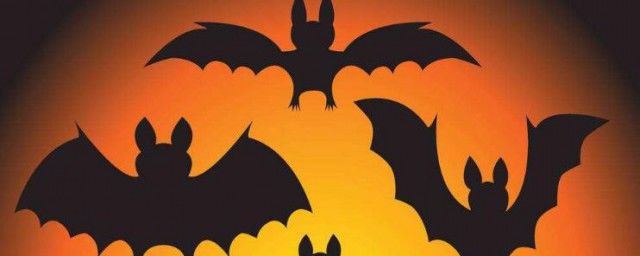 蝙蝠入宅家里要发大财 风水上蝙蝠进屋有什么预兆
