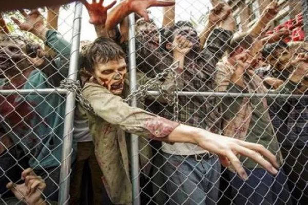 2023���·�ɥʬ���� 2023�����ɥʬ��(Ԥ���ൺɥʬ)