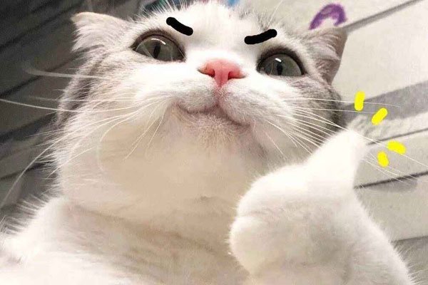 �����о��������С˵����� Ů������ò��������С˵���������