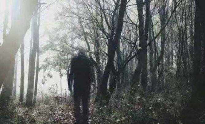 ʮ�������¼���ʵ���� ����ë���Ȼ�������¼�����������