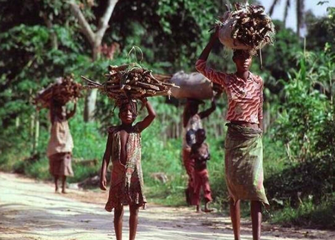 ������Ϊʲô��ô�� ����������Ϊʲô��ô����ô�����˻�����Ŵ�