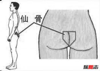 �ɹ����������������� ����ͨ�˶Աȣ����ɹǵ���ʲô�ص�