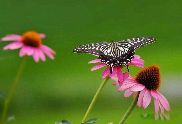 ������ҽ����ΰ���¼� �������ǵ�һ�������������