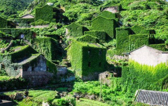 ���˴�Ϊʲôһҹ֮��û��ס �س��ֹ�����ʵ���˴������¼�