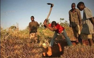 ���˵��Ǹ��ǲ��Ƕ��ܳ� 4��ԭ���й�����Ե�����