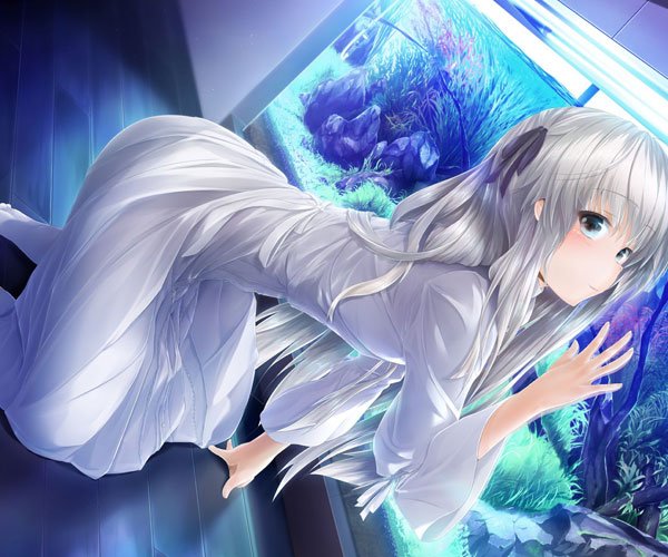 Ե֮�����۵�һ�� �ձ�����Ե֮�ս���һ�������Ĺ���