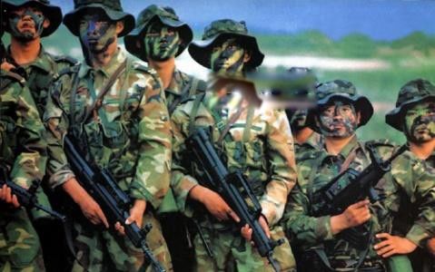 �й����ֲ������а�ǰʮ�� �ҹ��������ֲ��ӽ�ʲô