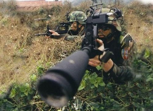 �й����ֲ������а�ǰʮ�� �ҹ��������ֲ��ӽ�ʲô