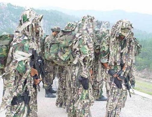 �й����ֲ������а�ǰʮ�� �ҹ��������ֲ��ӽ�ʲô