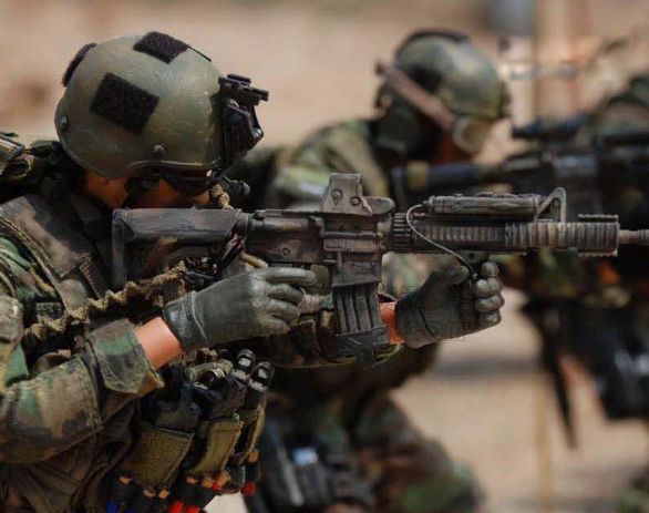 �й����ֲ������а�ǰʮ�� �ҹ��������ֲ��ӽ�ʲô