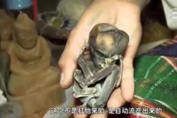 ʲô����С�� ����ȥ̩����С���������