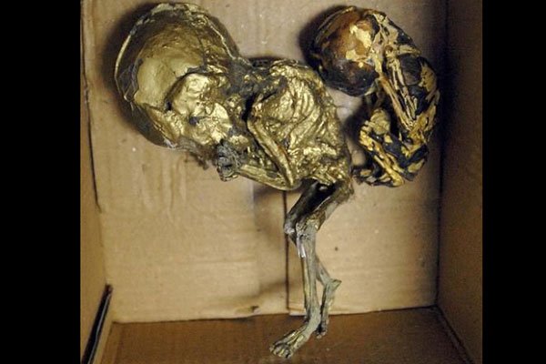 ʲô����С�� ����ȥ̩����С���������