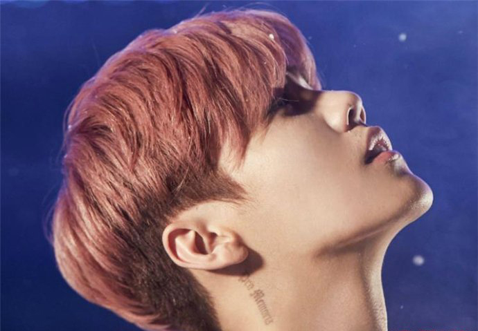 ¹�ϸ������ϼ�鼰�������� ��ĸ�����ع�ְ�¹�����Ǹ�ʲô��